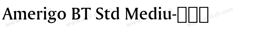 Amerigo BT Std Mediu字体转换
